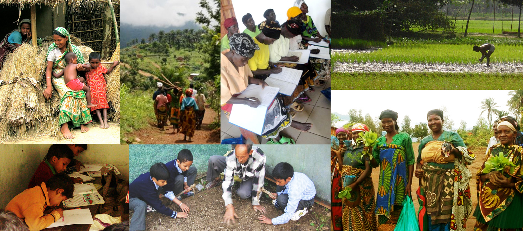 EPN Grassroots Projects