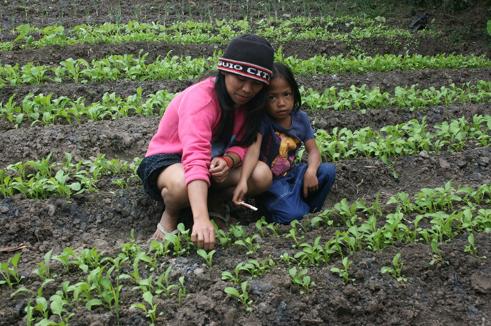Backyard Gardening, Philippines