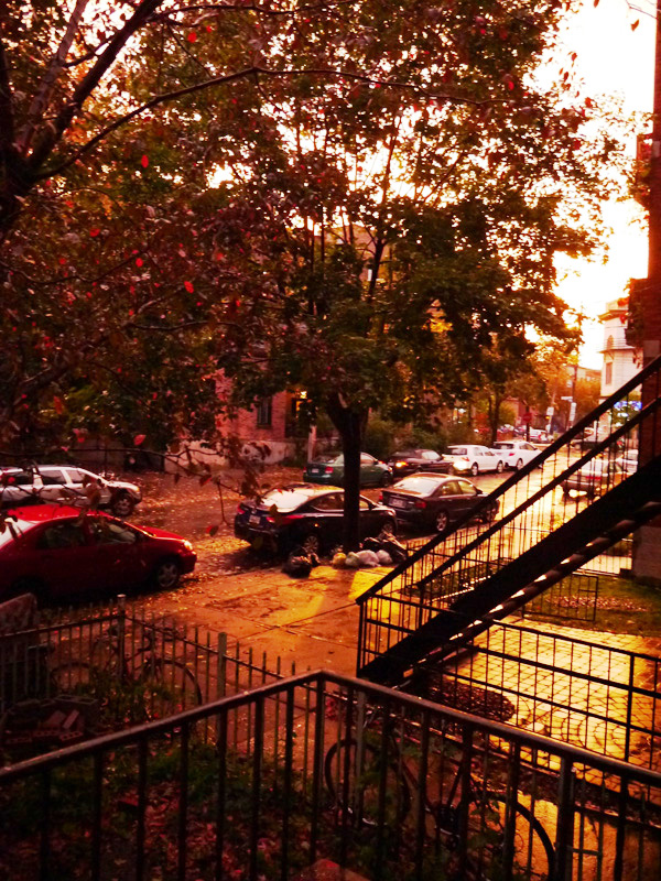Fall in Montreal 2